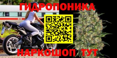 ПСИЛОЦИБИНОВЫЕ ГРИБЫ Жуковский