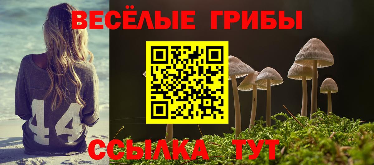 Галлюциногенные грибы MAGIC MUSHROOMS  Вход с VPN  наркота  Псилоцибиновые грибы Psilocybe  Североуральск 
